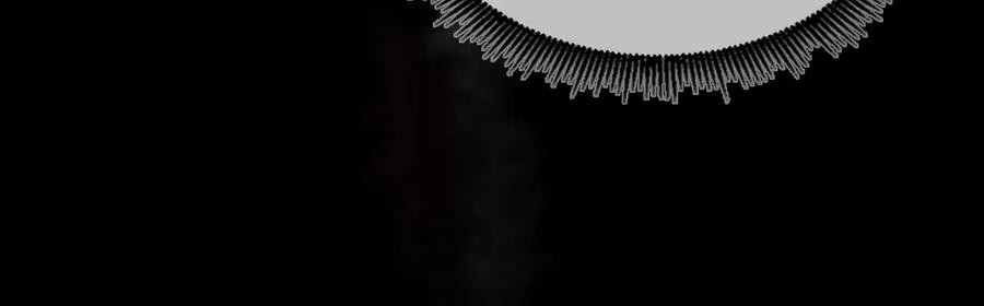 164.jpg