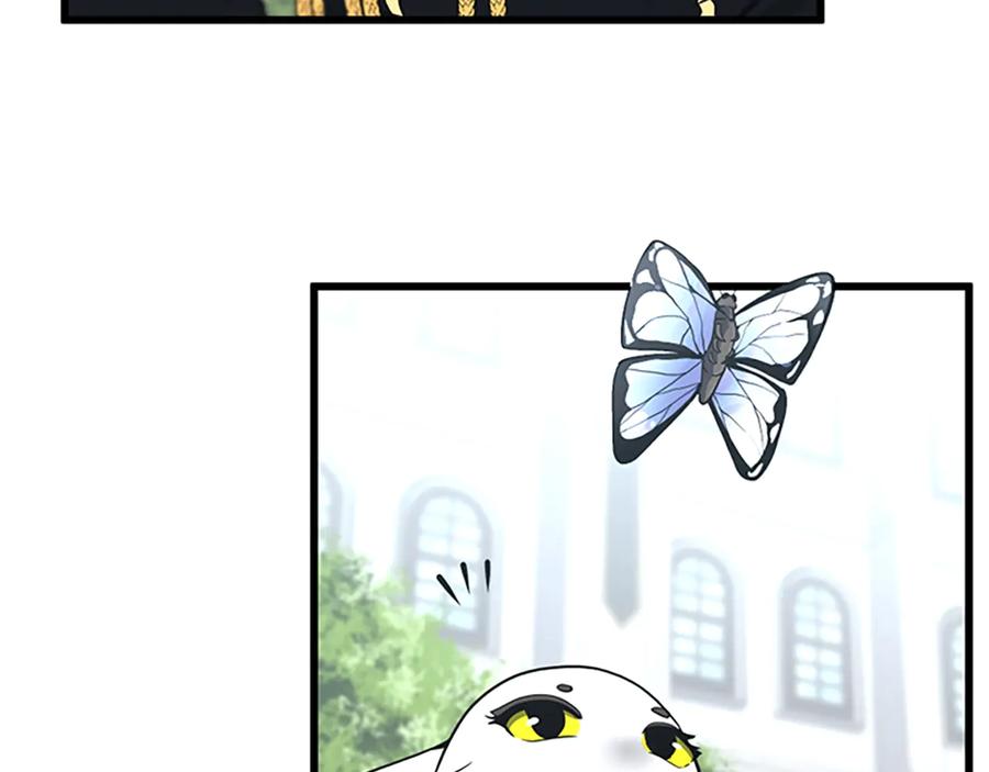 163.jpg
