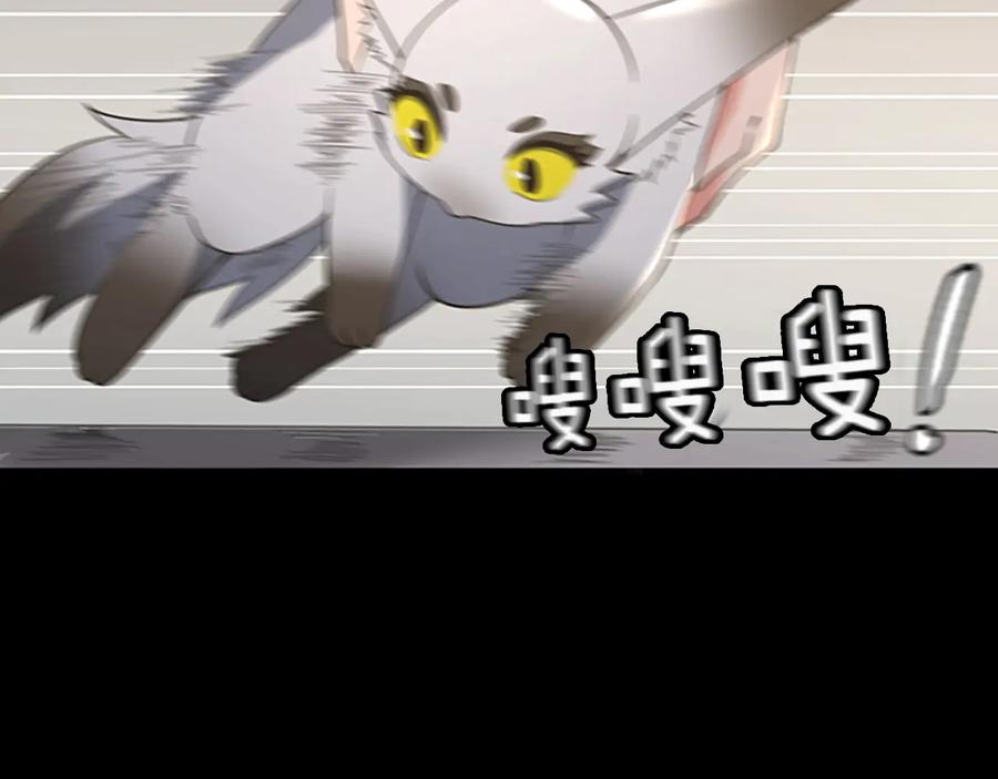 166.jpg