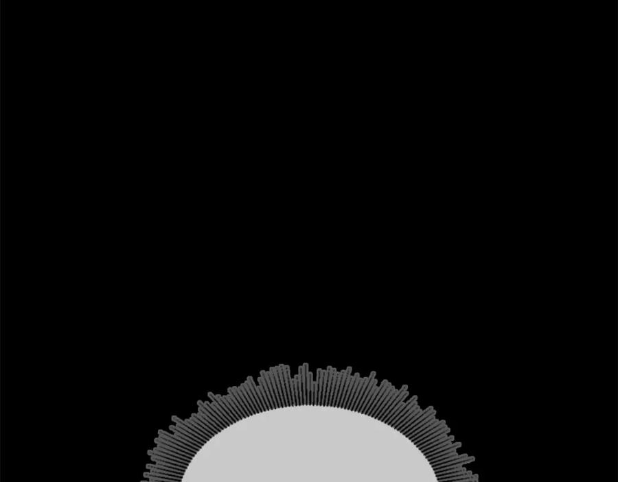 264.jpg