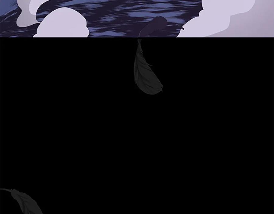 274.jpg