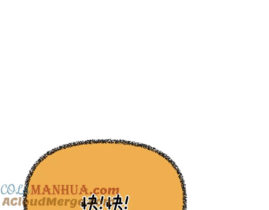 233.jpg