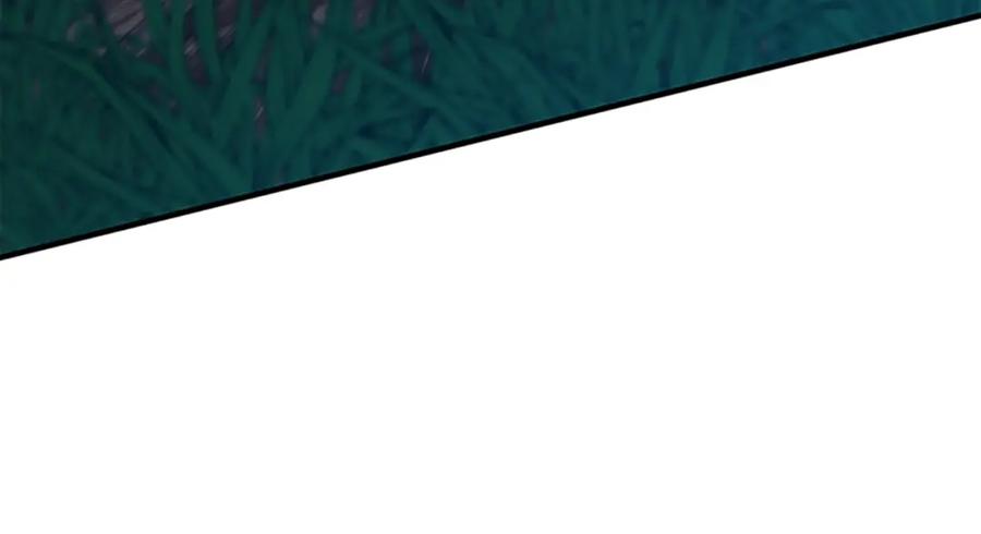 234.jpg