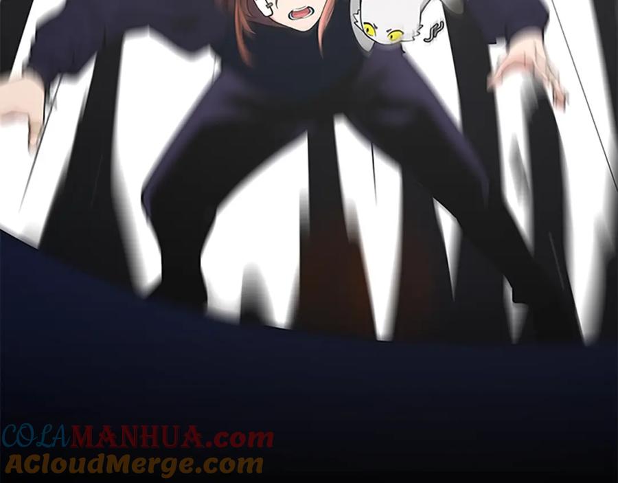 141.jpg