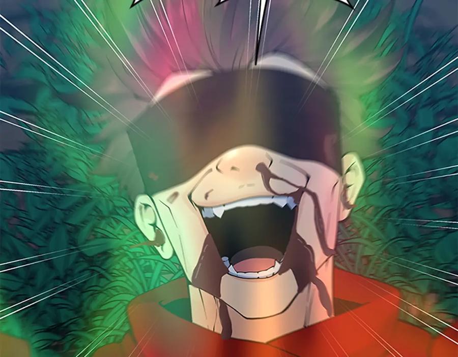 260.jpg