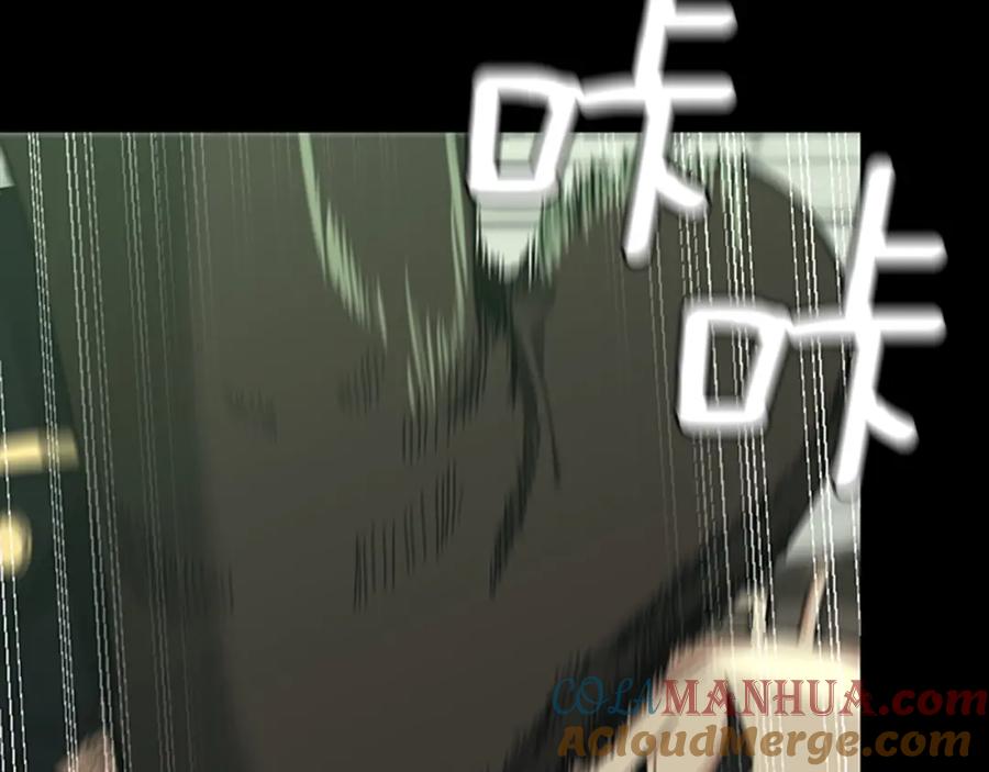 169.jpg