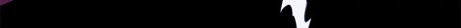 258.jpg