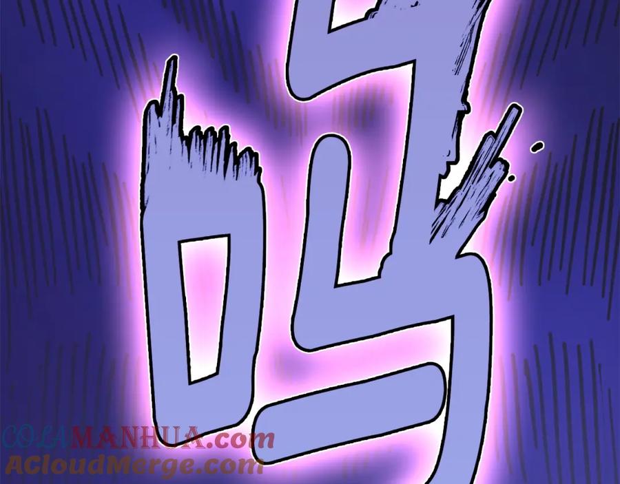 233.jpg