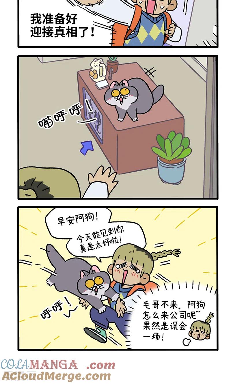 第86话猫晶晶疑云4-阿满和麦茶-新漫画 日胖大海寺（第4张）