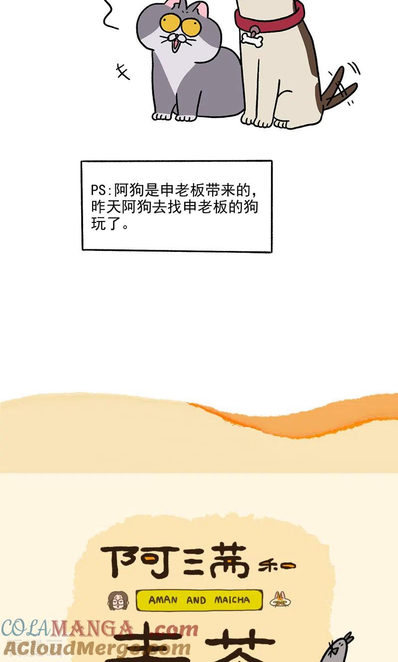 第86话猫晶晶疑云4-阿满和麦茶-新漫画 日胖大海寺（第7张）