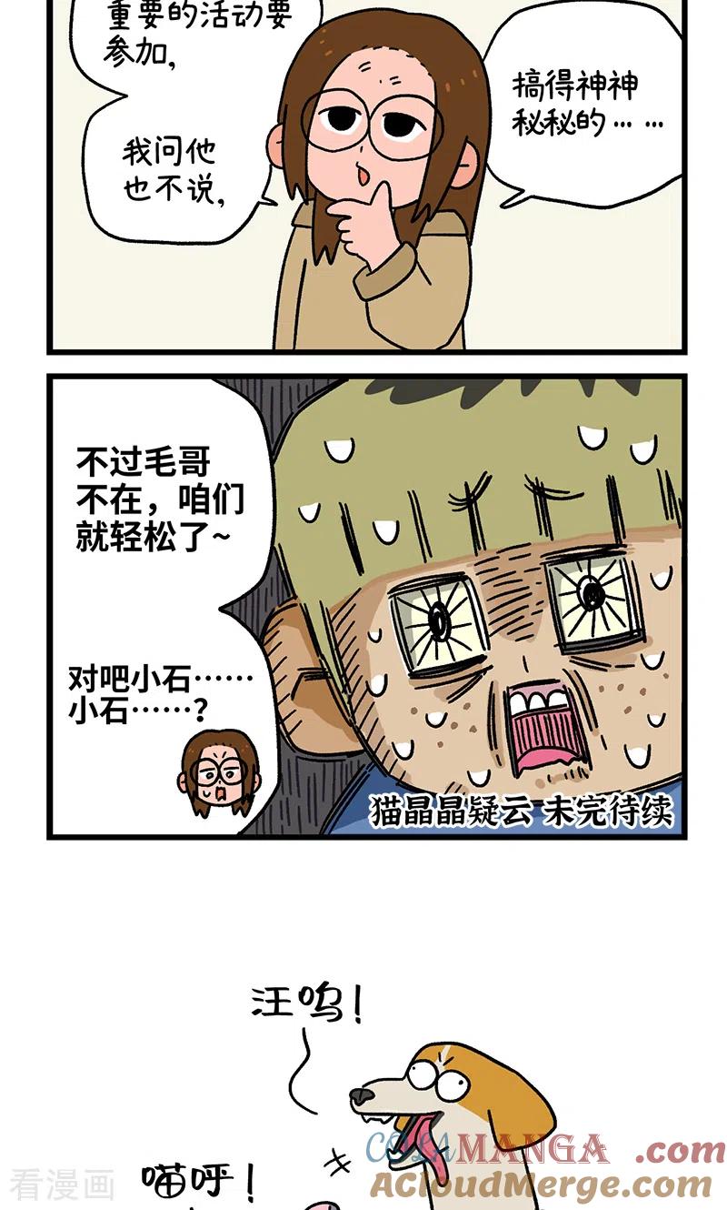 第86话猫晶晶疑云4-阿满和麦茶-新漫画 日胖大海寺（第6张）