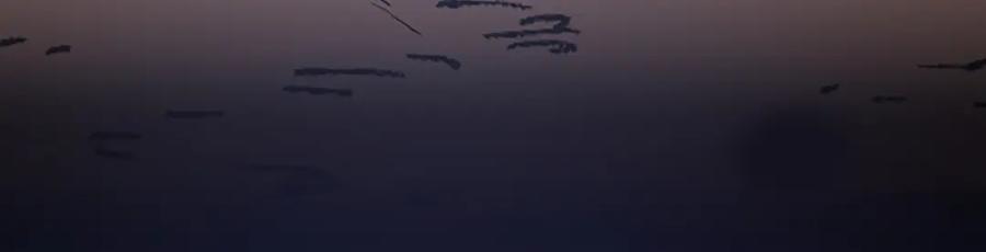 103.jpg