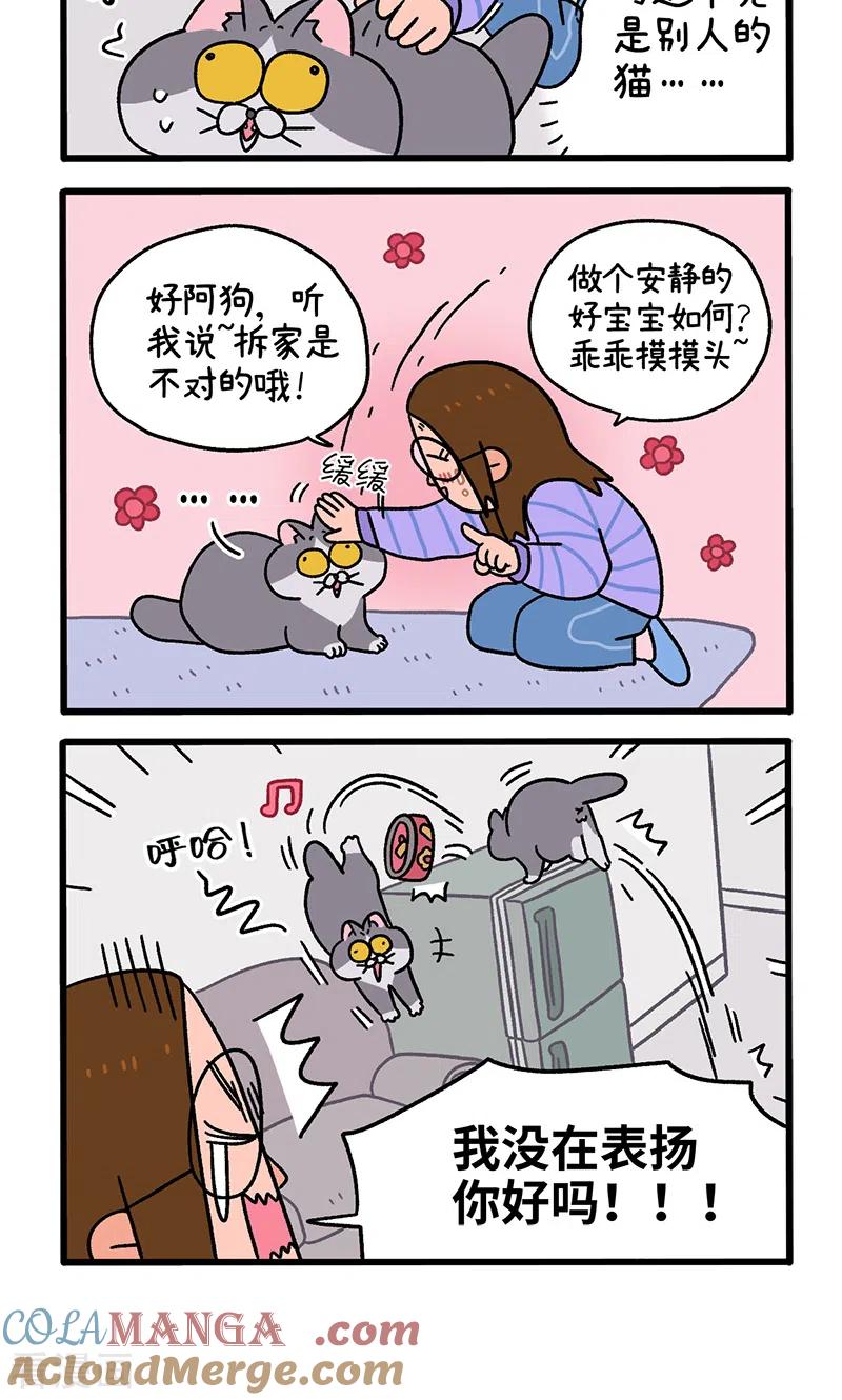 第89话2阿狗初来乍到-阿满和麦茶-新漫画 日胖大海寺（第4张）