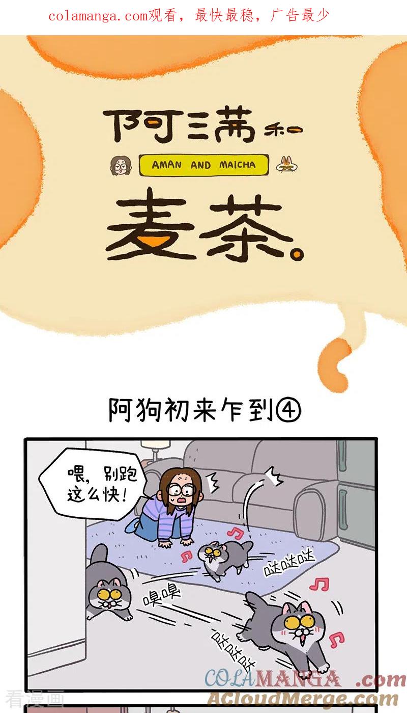第89话2阿狗初来乍到-阿满和麦茶-新漫画 日胖大海寺（第1张）