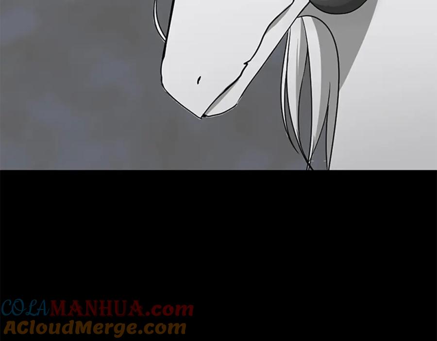 221.jpg