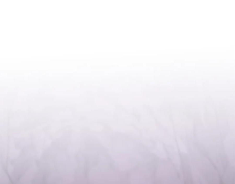 170.jpg