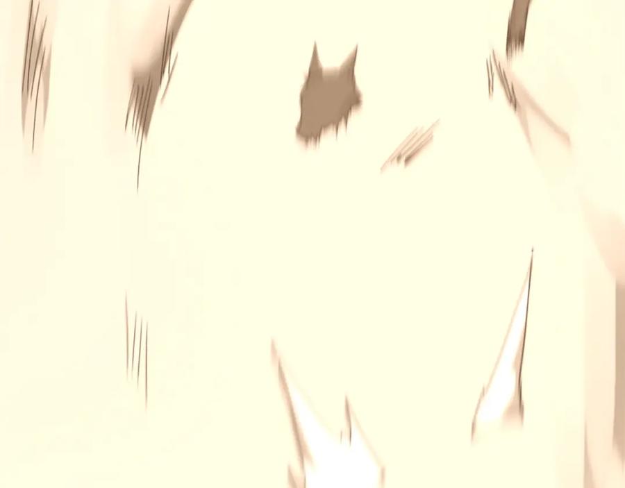 196.jpg