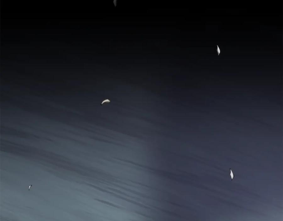148.jpg