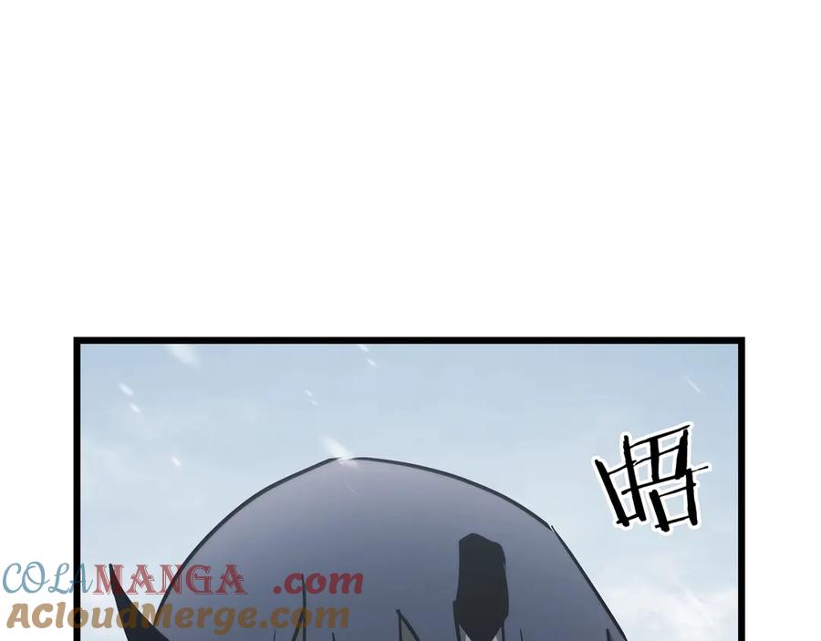 233.jpg