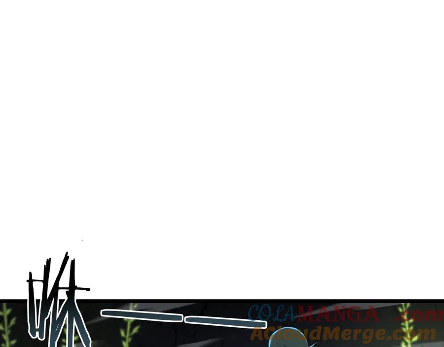 241.jpg