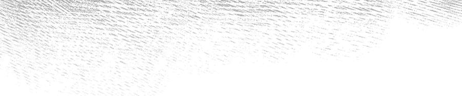 98.jpg