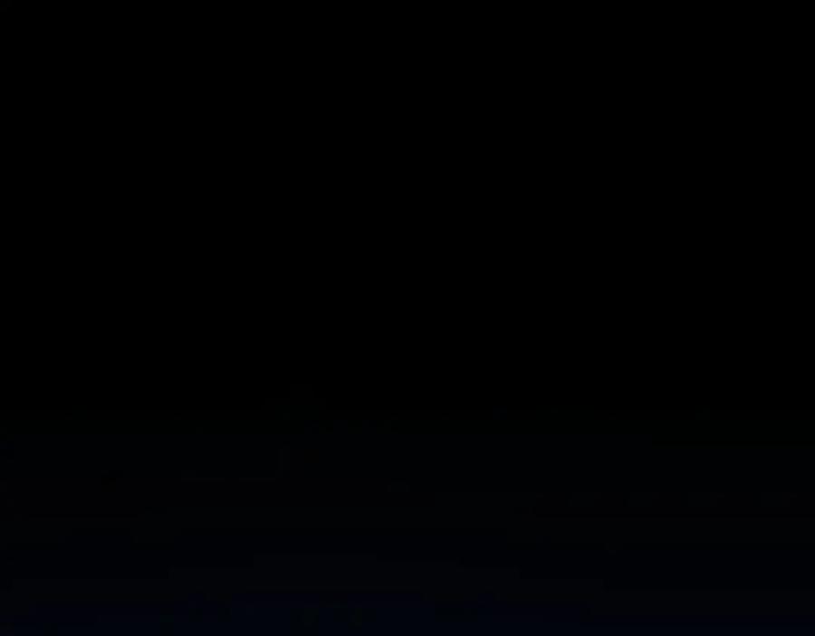 91.jpg