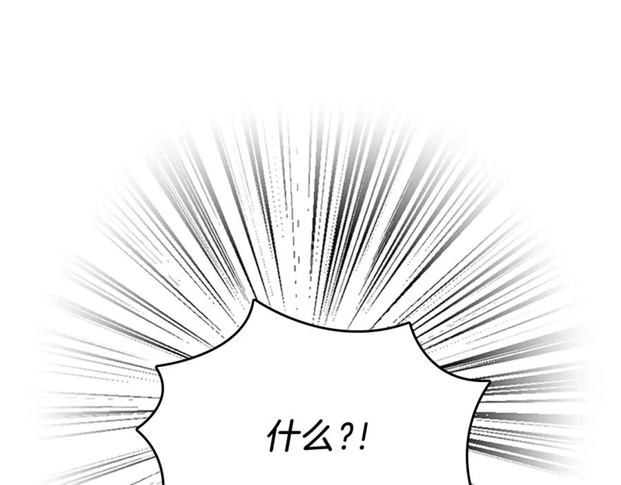 166.jpg