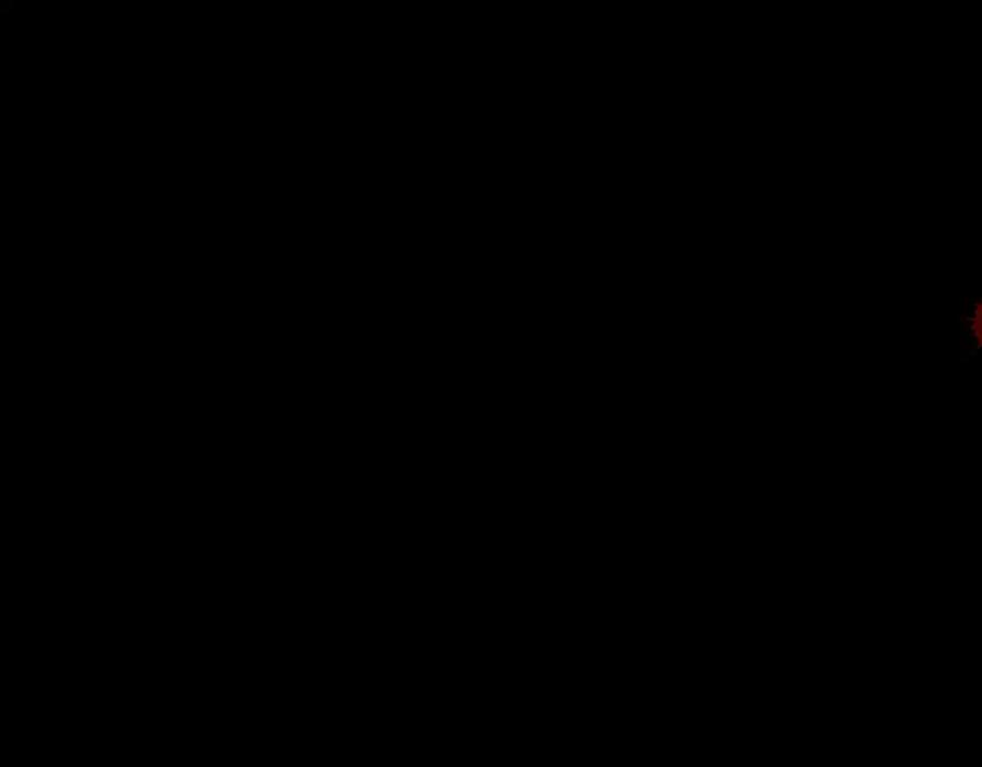 142.jpg