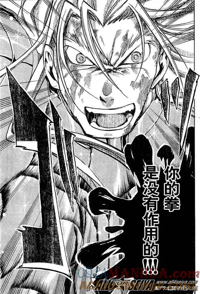 第39话-圣斗士星矢 冥王神话-手代木史织（第8张）