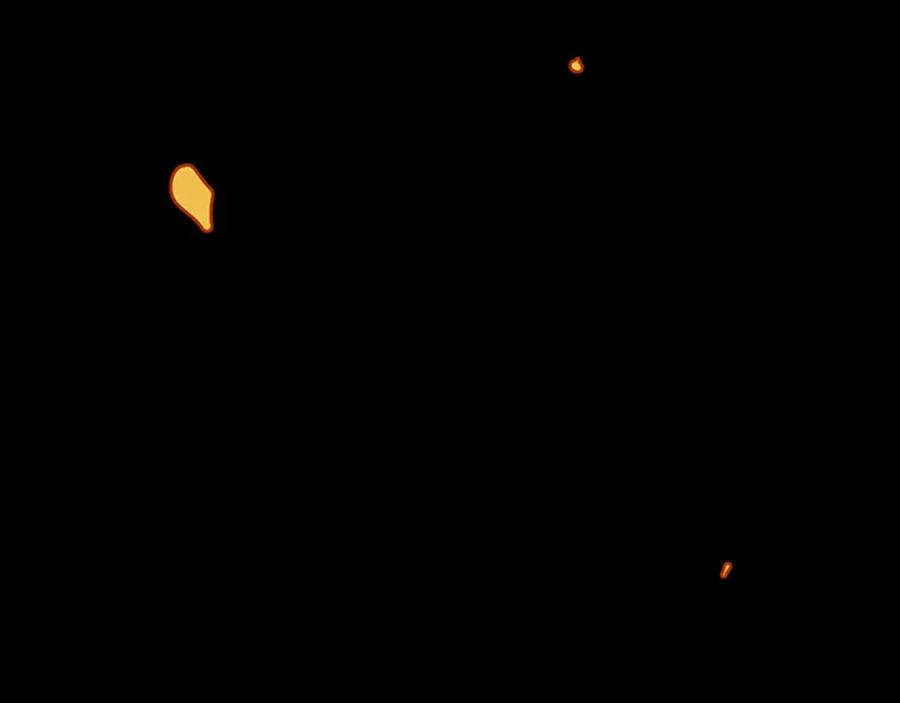 192.jpg