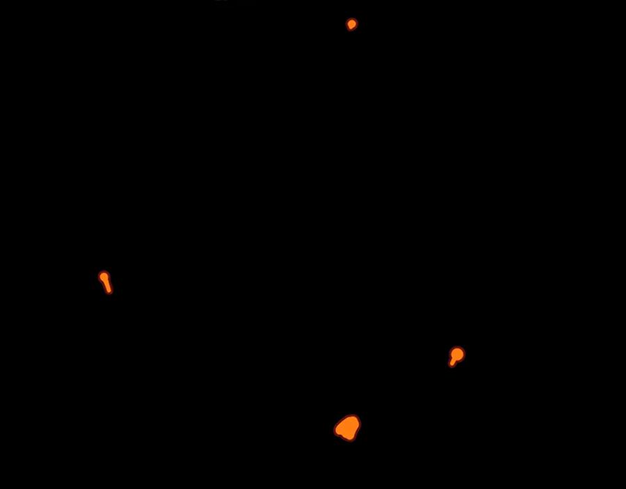 87.jpg