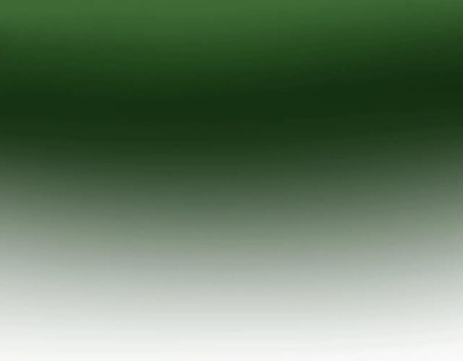 218.jpg