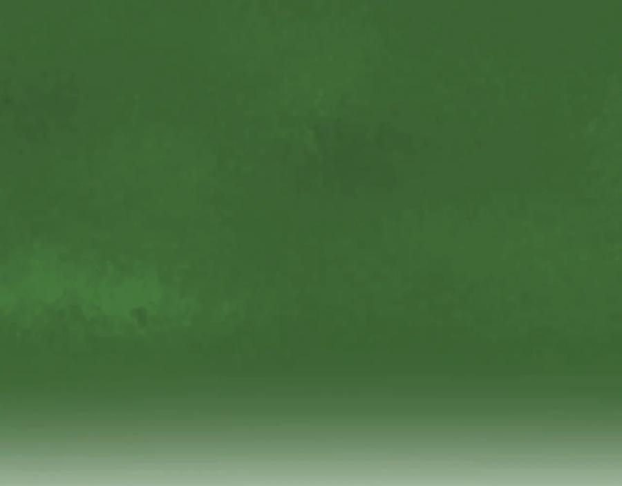 55.jpg