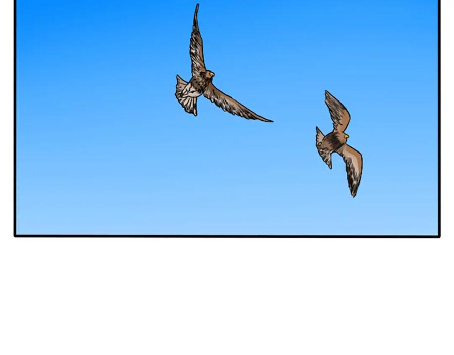 155.jpg