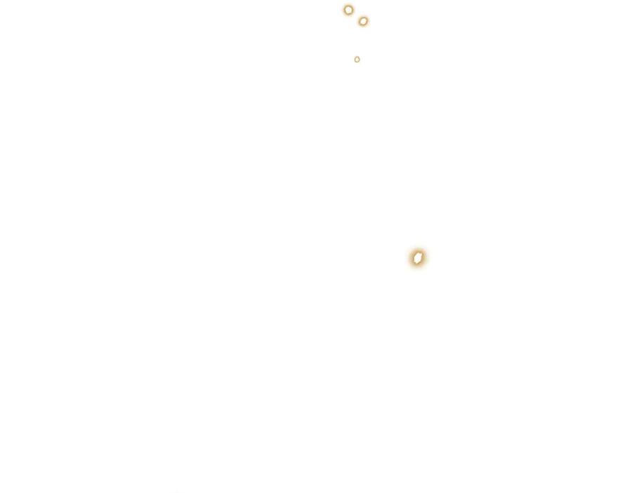 88.jpg