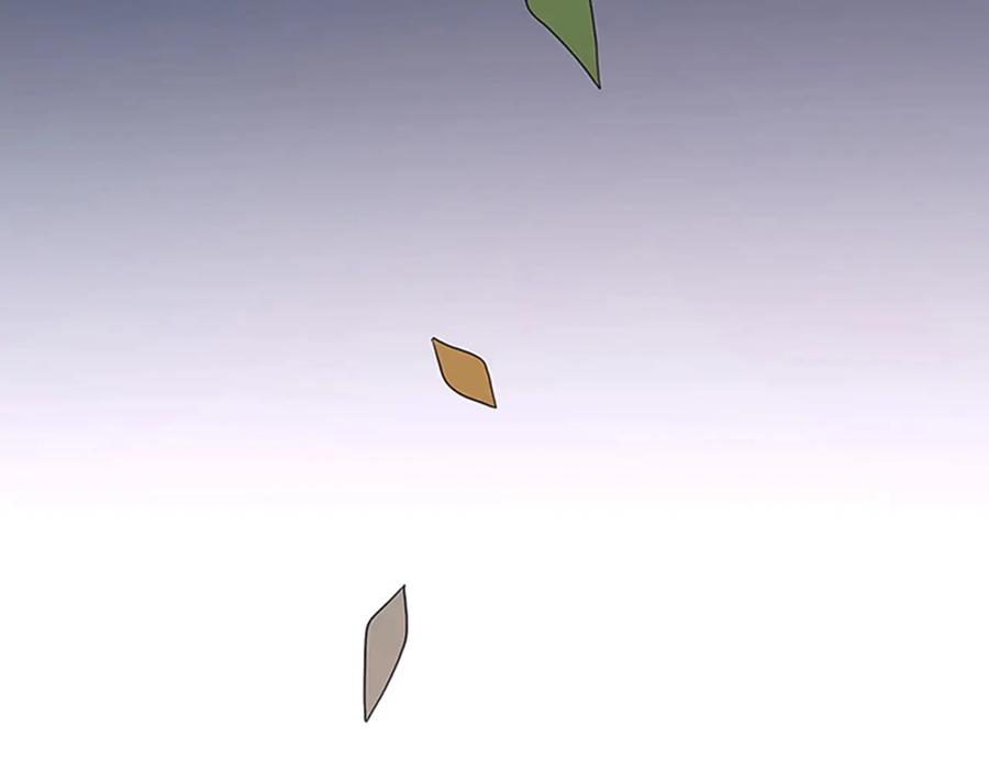 211.jpg