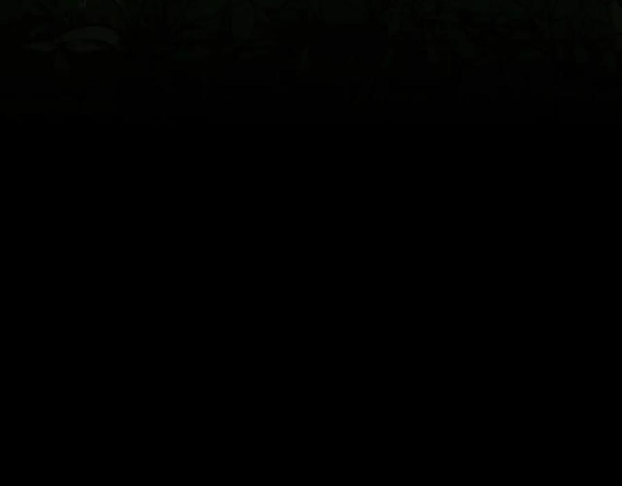 216.jpg