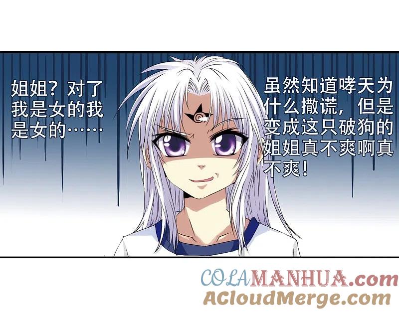 19.jpg