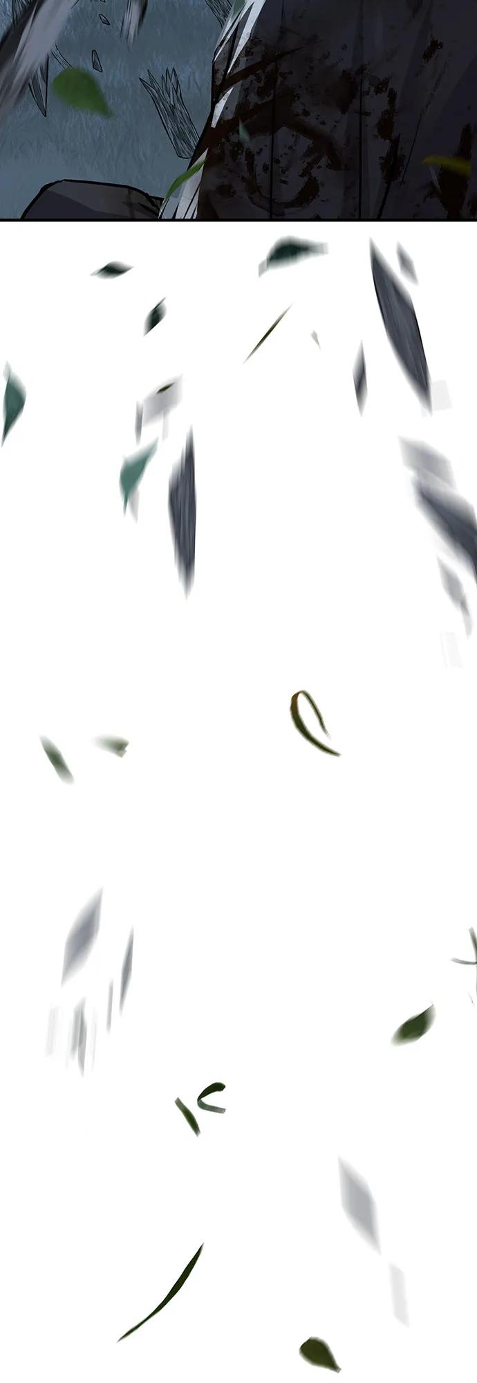 80.jpg