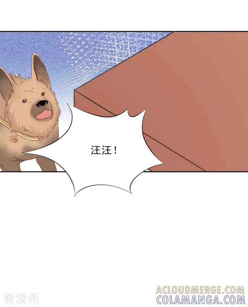 第61话寄人篱下的生活？-婚然天成：总裁老公太放肆-泛次元文化（第11张）