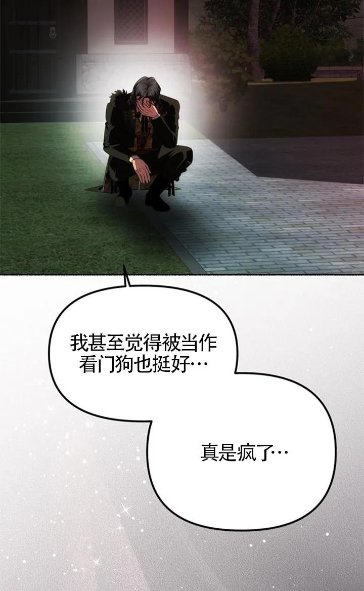 54.jpg