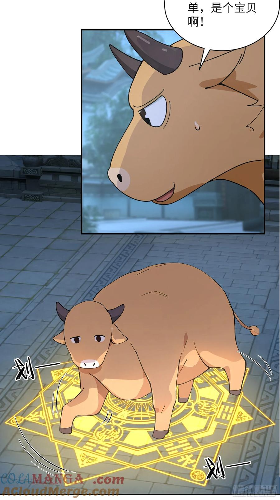 25.jpg