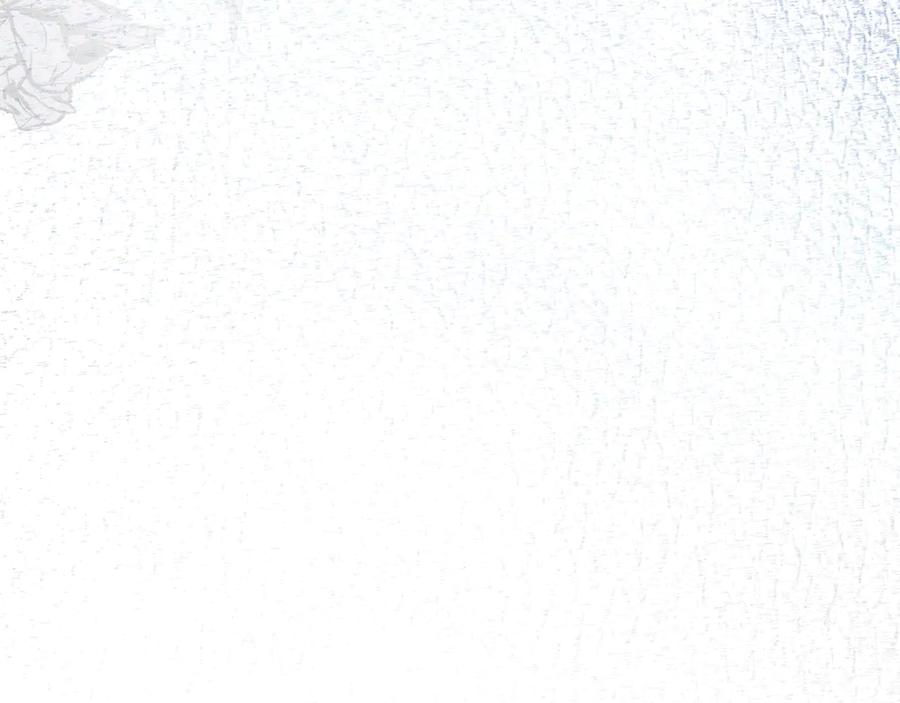83.jpg