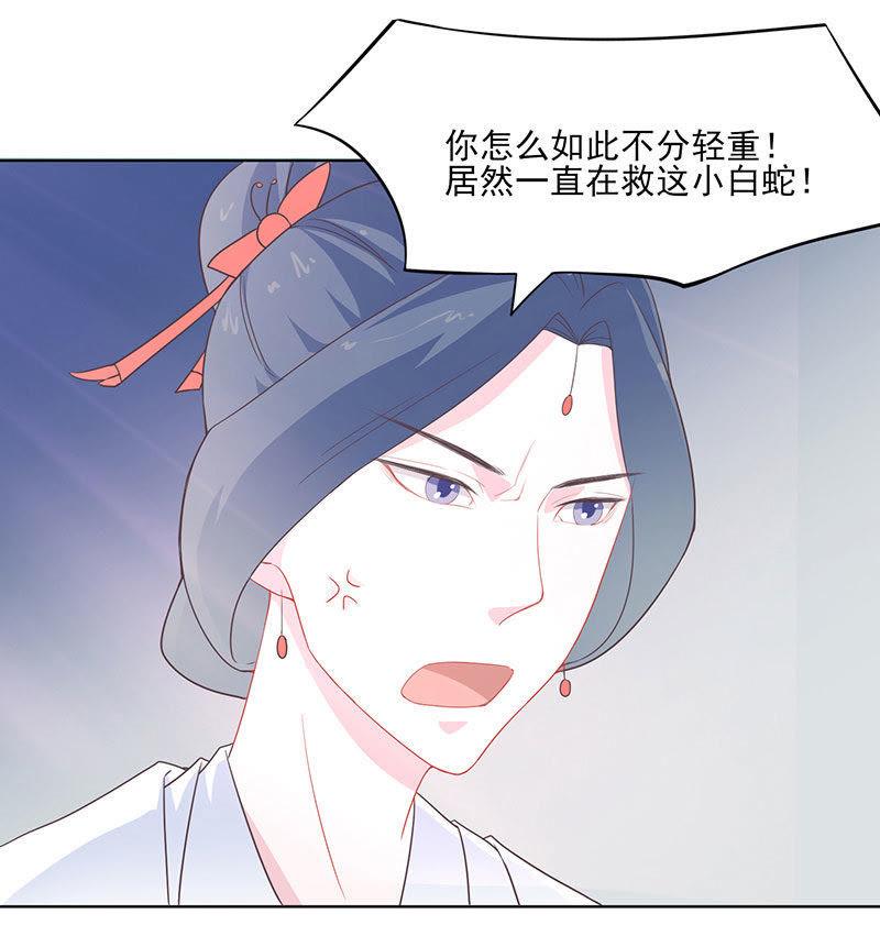 必取蛇胆-天乩之白蛇传说-追梦动漫（第6张）