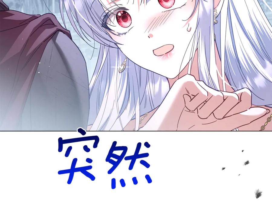 240.jpg