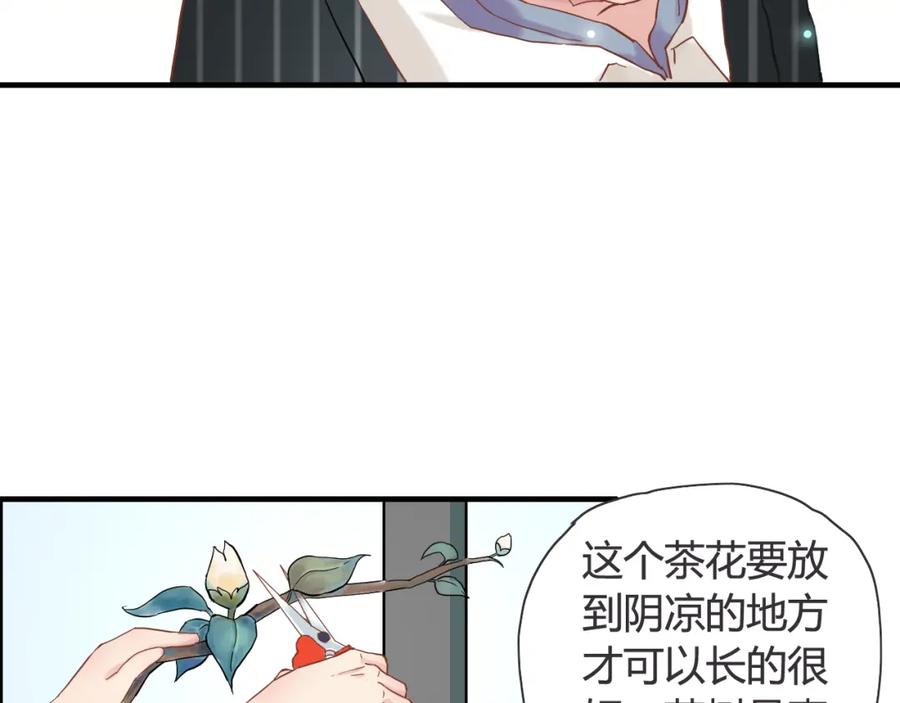 第9话回心转意-闪婚总裁契约妻-拈花拂柳（原著）+拾部漫画（第11张）