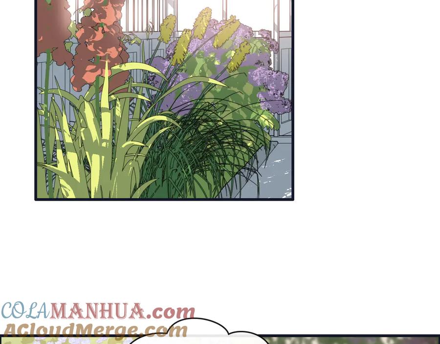 第355话花海中的“告白”-闪婚总裁契约妻-拈花拂柳（原著）+拾部漫画（第5张）