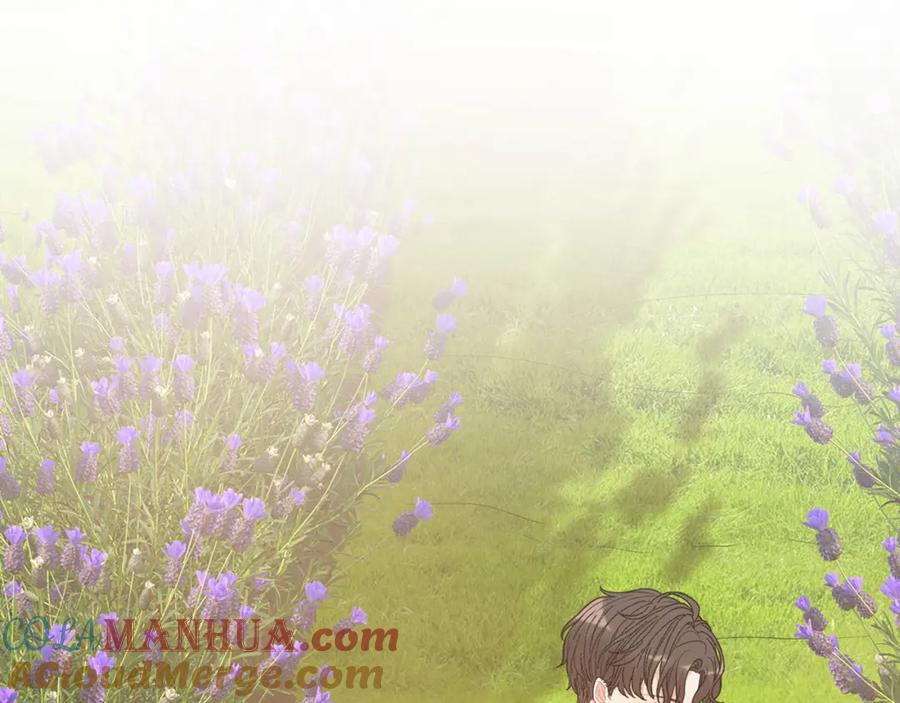 第531话简单上头条的办法？-闪婚总裁契约妻-拈花拂柳（原著）+拾部漫画（第5张）