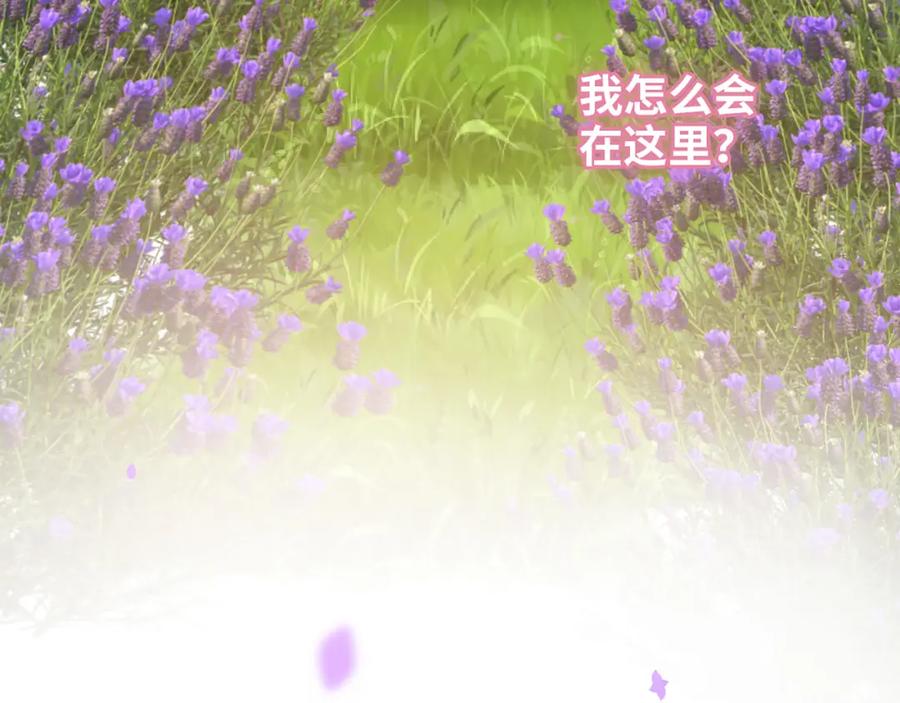 第532话尹家第一帅！-闪婚总裁契约妻-拈花拂柳（原著）+拾部漫画（第10张）