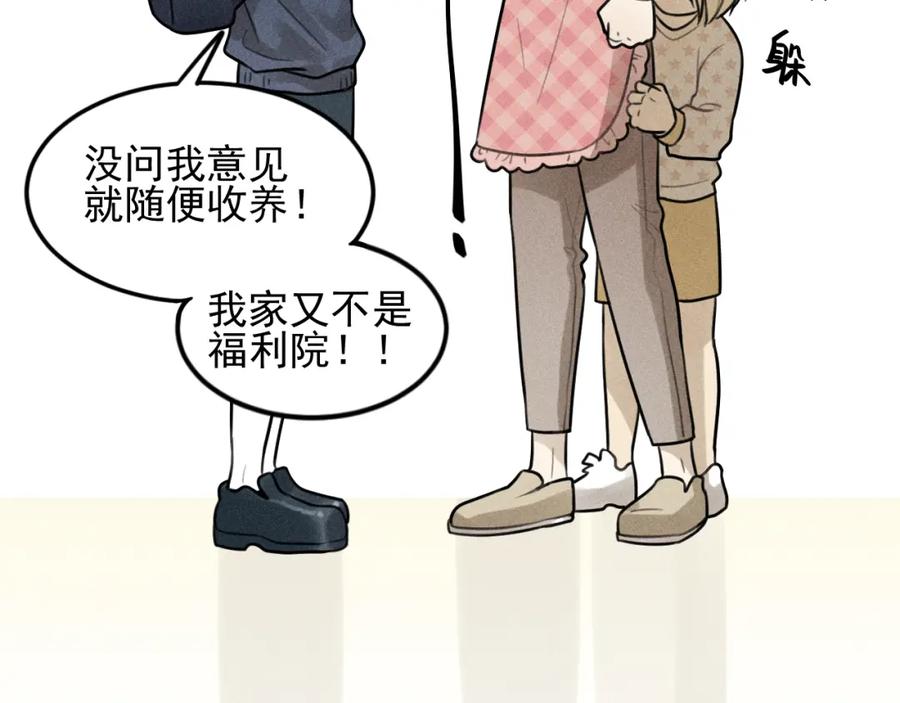39.jpg
